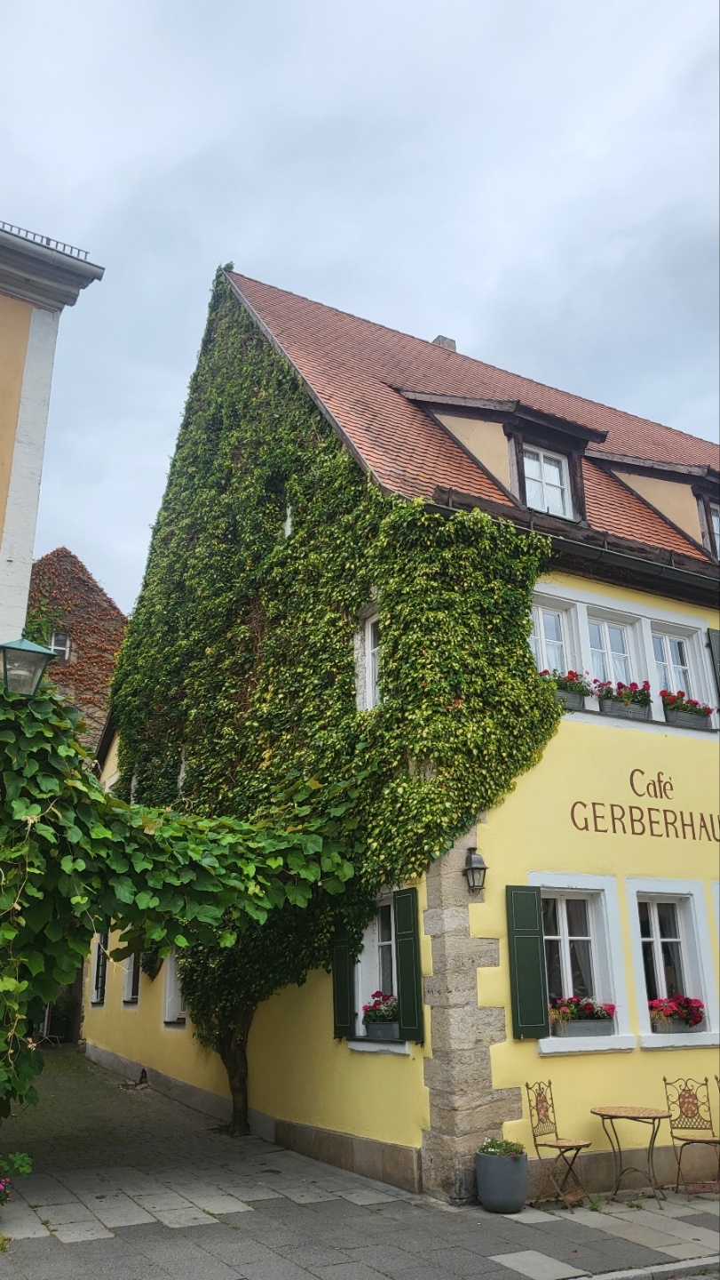 3.jpg 3.jpg